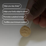 Ashwagandha + Mushroom Complex