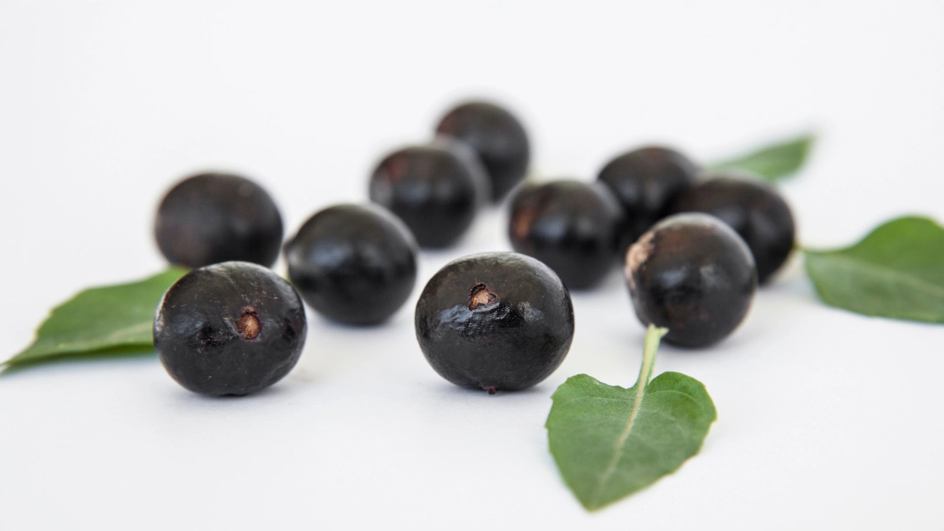 an image of a few acai berries