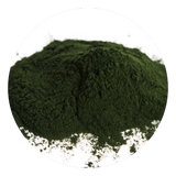 Chlorella powder image