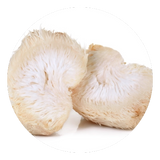  Lions Mane mushroom image