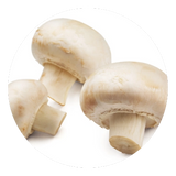 White Button Mushroom image